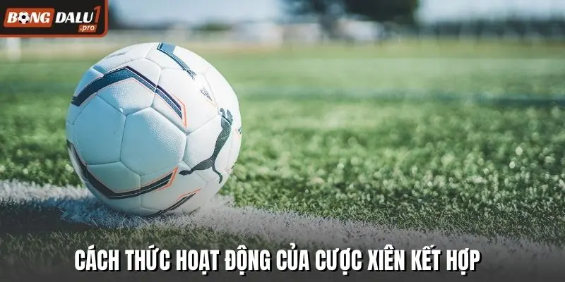 Cách thức hoạt động của cược xiên kết hợp